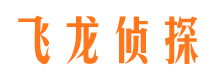 高坪市侦探公司